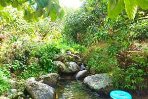 陽朔興坪元和(hé / huò)坪溯溪穿越原生态峽谷半日遊【專業教練含陽朔接送】